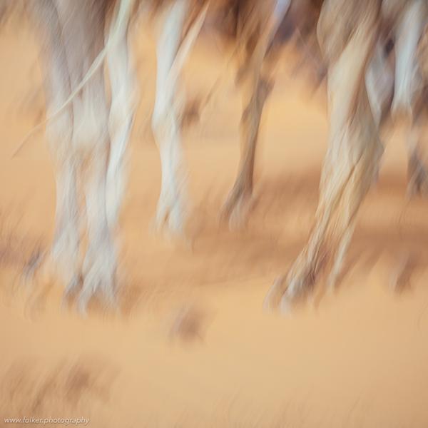 Mauritania, Sahara, Desert, dunes, abstract, ICM