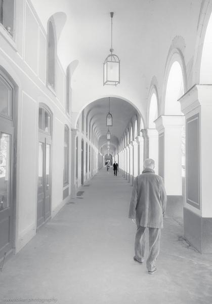 Hofgarten, Munich, March 2017