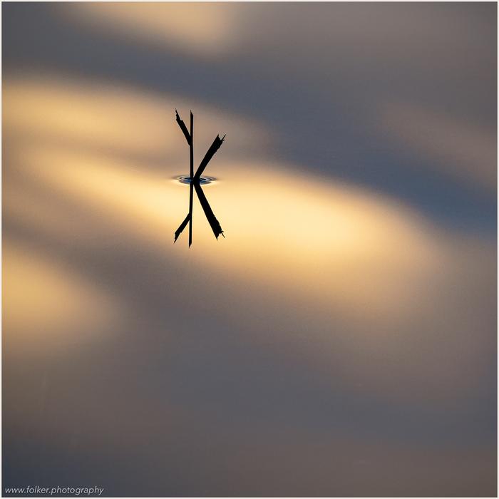 FFolker, Michaelsen, Aesthetic, minimal, abstract, art, photography, minimalism, impressionism, ICM, multiple exposure, painterly, creative, special, beautiful, Osterseen, Bavaria