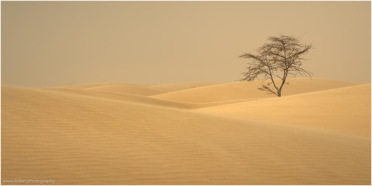 simplicity, quietness, freedom, Minimal, negativ space, Folker, Michaelsen, art, photography