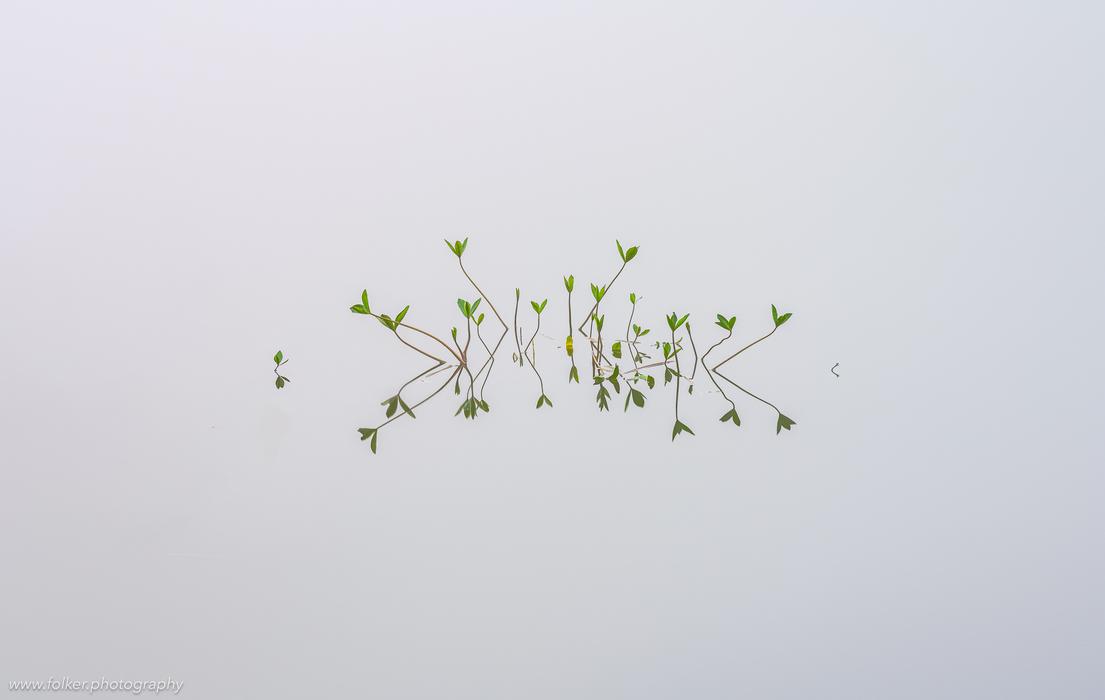 Folker, Michaelsen, Aesthetic, minimal, abstract, art, photography, minimalism, impressionism, ICM, multiple exposure, painterly, creative, special, beautiful, lake