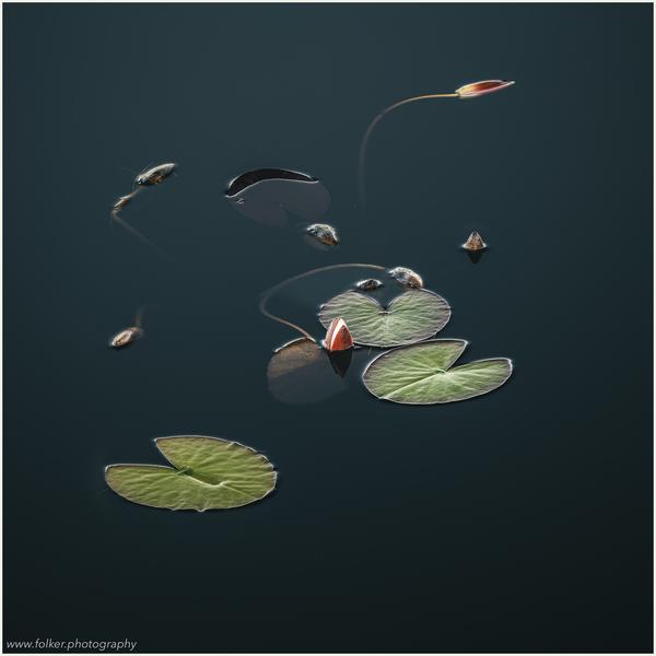 Simplicity, quietness, freedom, Minimal, negativ space, long exposure, Folker, Michaelsen, art, photography